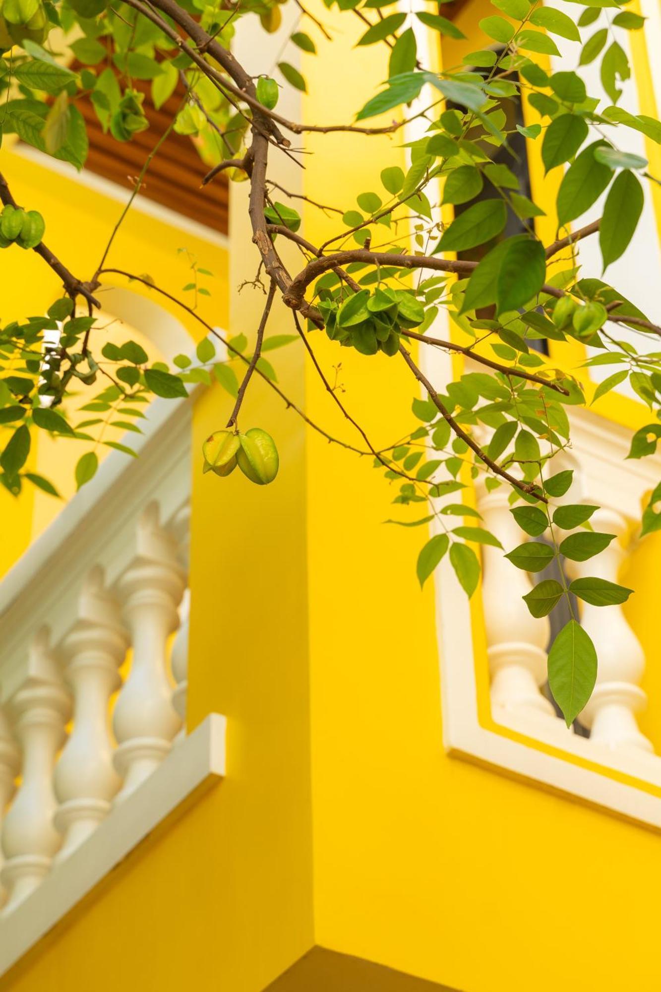Quyen'S House Homestay Hoi An Exterior foto